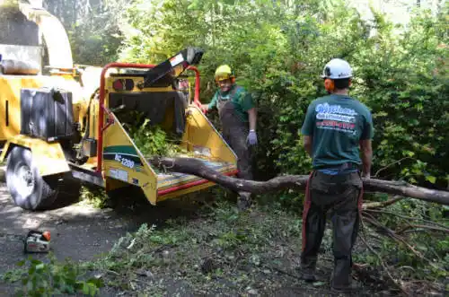 tree services Glidden